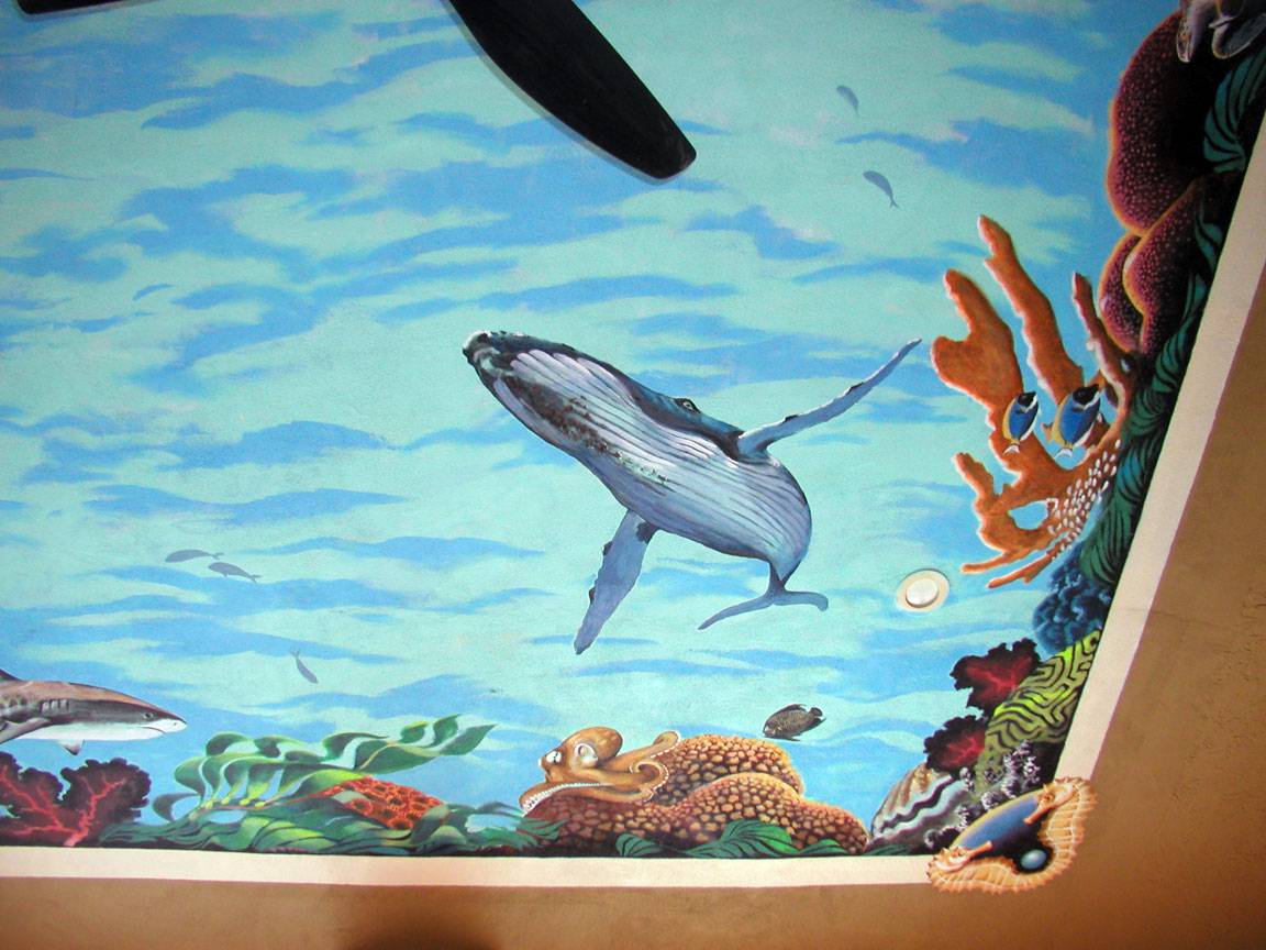 Aquarium detail2